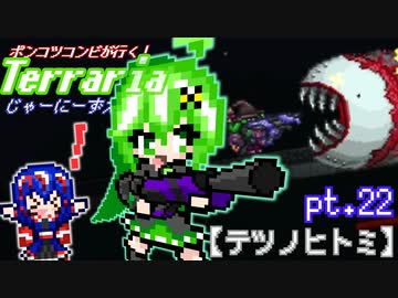 ポンコツコンビが行く！ぐだぐだテラリア実況 pt.22【テツノヒトミ】