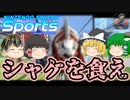 【Nintendo Switch Sports】メリーサッカーシマス【ゆっくり実況】