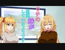 【ソフトウェアトーク劇場】ウチの妹が困惑しているようです