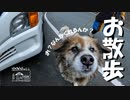 【第88回】散歩とお出汁とレモン