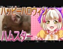 クロクマハムスターの日常。24