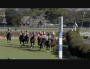 2022年12月24日_中山競馬_10R_中山大障害_障害4100