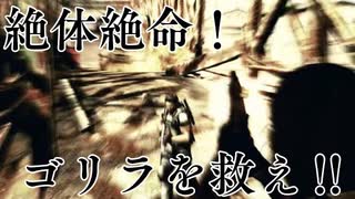 【バイオハザード5】頼れる相棒との超協力プレイ！男二人の感染症解決記　#5【西三計画】