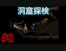 拾ったスーパーボールは欠陥品 - ポケモンコロシアム #8