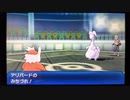 クリスマスにみちづれをプレゼントするデリバード