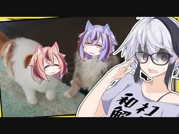 ネコバースでネコデース