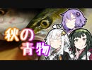 あかりの食材調達日誌 part.17 秋の青物！