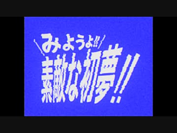みようよ!!素敵な初夢!!(夢記録番外編)