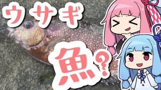 久しぶりに延べ竿でウキ釣りを楽しむおじさんを実況する琴葉【VOICEROIDフィッシング】