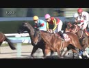 2022年 第17回 阪神カップ(GII) ダイアトニック