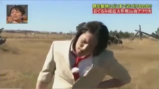 動物アドベンチャー☆(3)