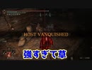 覚醒した短刀二刀で暴れる聖女