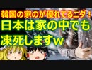 ゆっくり雑談 565回目(2022/12/26) 1989年6月4日は天安門事件の日 済州島四・三事件 保導連盟事件 ライダイハン コピノ コレコレア