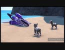 ポケモン実況始めました１日目　PART6