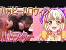 クロクマハムスターの日常。26