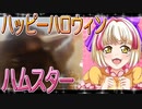 クロクマハムスターの日常。28