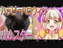 クロクマハムスターの日常。29
