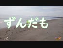 ずんだも。