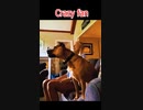 Crazy fan