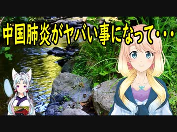 中国の感染者がヤバい事に・・・【世界の〇〇にゅーす】