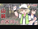 2022年12月26日　農作業日誌P490　激しく燃えるたき火の横で草刈りを楽しむ　VOICEVOX