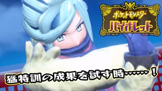 【ポケットモンスター】ソウルシルバーを途中でやめたボクが最新作遊ぶ！ 第12回