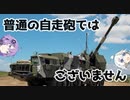 第二十二.五回【装輪自走沿岸砲システム