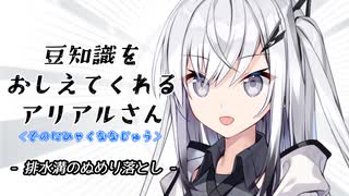 豆知識をおしえてくれるアリアルさん(270)【coefont劇場】