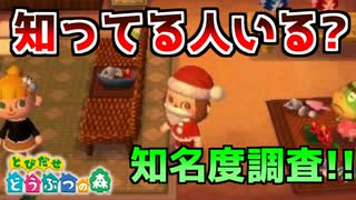 【とび森】2年経っても自分の事を知ってる人はいるの？！