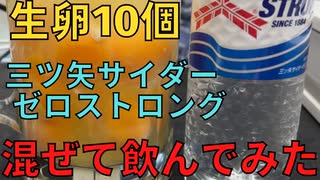 【完全栄養】　生卵10個に三ツ矢サイダー ゼロストロング混ぜて乾杯する弱者男性