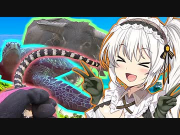 『石垣島で着るわけがないだろ！』と追放された長袖。元持ち主が現地で『寒い』とか寝言を言っているようだがもう遅い　なんちゅ～か1番！＃42