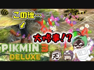 ピクミン3デラックス　＃23