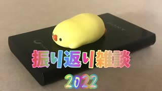 【雑談】2022年の私事をことごとく振り返ってみた【踝猫背】
