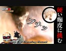 カラー版【ブチッ！本物耳かきASMR】超硬い痂皮に挑む！匠の技ミミカキ/SONY ECM-PC60/癒しの耳掃除/イヤースコープ/痒み【SMダークネス】