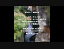 【#C101 】まぼろし XFD【手焼き+DL】