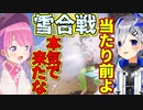 【RUST】配信外のかなたんと雪合戦でやり合うも挨拶はてぇてぇかなるーな【姫森ルーナ/天音かなた/ホロライブ切り抜き】