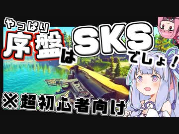 【 EFT 】 ワイプ後初心者はSKSしか勝たん！！やっぱり強いコスパおすすめ武器！