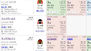 【競馬予想2022】ホープフルステークス予想（翌週の展望はお休み）