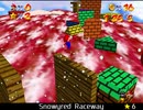 紹介するほどでもない改造マリオ64シリーズ【Snowyred Raceway編】