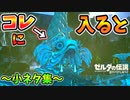 水中に沈む謎岩！？ダルケルに入ると･タイトルでミファーが…など小ネタ集【ブレワイ BotW】裏技 バグ 検証 ゆっくり実況 glitch
