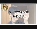 ハーフツインはかわいい【のりたまカフェ･雑談】