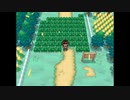 パラオナボー1ばんどうろ.bw2