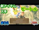 【ゼルダの伝説スカイウォードソード】空と大地と時々姫と_Part6【実況】