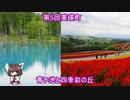 東北きりたんと歩く北海道　～第5回　美瑛町～
