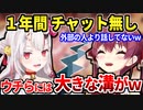 あやめと1年間チャットしてなかったことが判明し、攻略法を見直すマリン船長【鷹嶺ルイ/百鬼あやめ/宝鐘マリン/ホロライブ切り抜き】