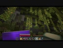 【Minecraft】マインクラフト 実況プレイ370