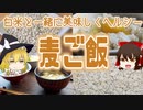 【ゆっくり解説】麦ご飯の栄養について解説！