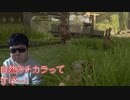 カムフラージュ率100%【The Last of Us Part II】#44