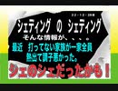 22/12/28夜　何だとシェのシェだと？