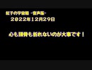 紅子の宇宙船 －音声版－ 2022年12月29日